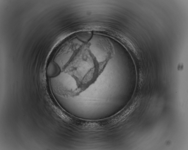 X0000100870784200806201239