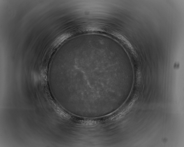 X0000100870785200806201239