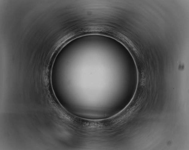 X0000100870786200806201239