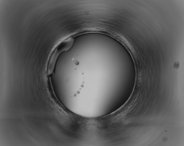 X0000100870787200806201239