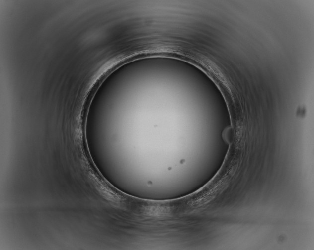 X0000100870789200806201239