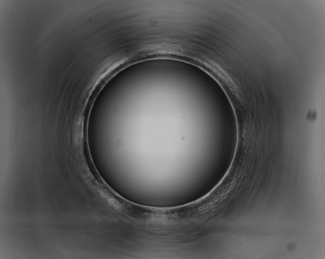 X0000100870790200806201239