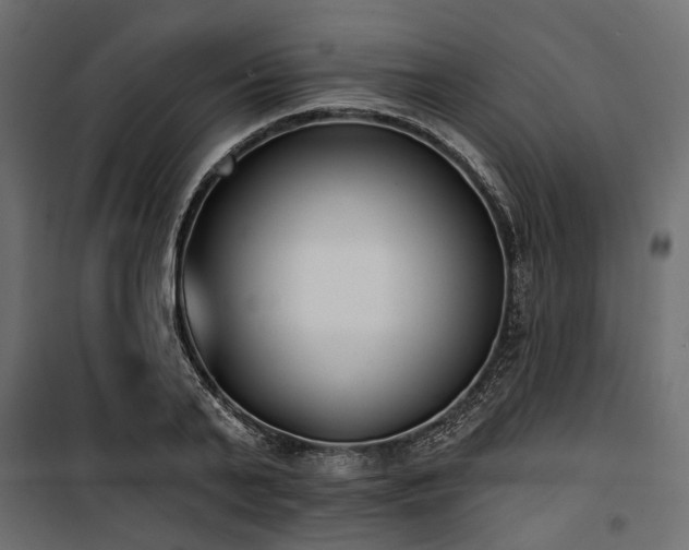 X0000100870791200806201239