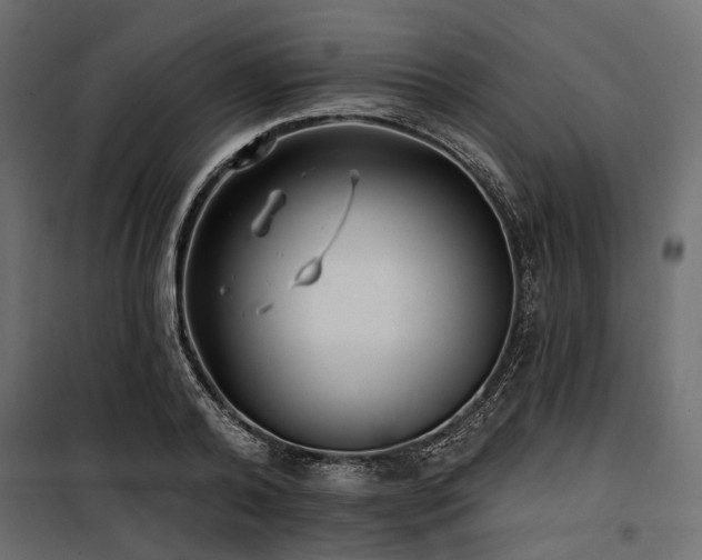 X0000100870792200806201239