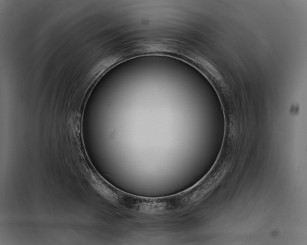 X0000100870793200806201239