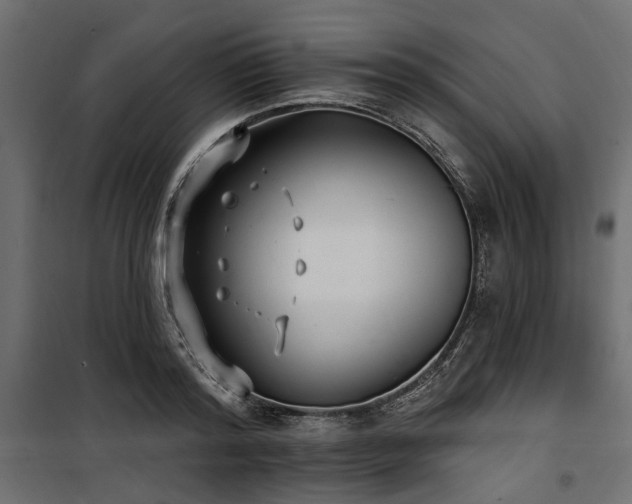 X0000100870796200806201239