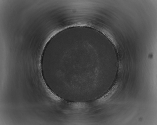 X0000100870797200806201239