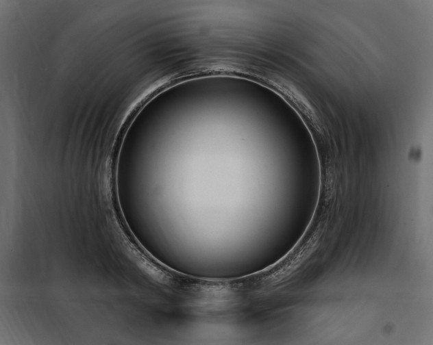 X0000100870798200806201239