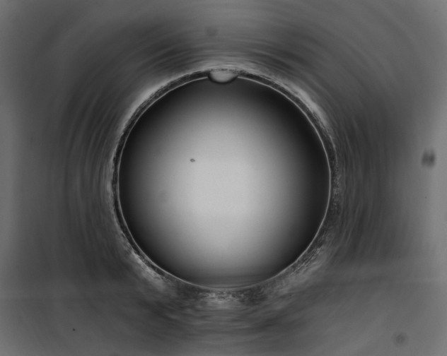 X0000100870799200806201239