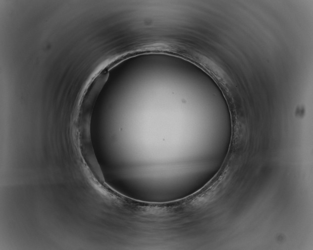 X0000100870800200806201239