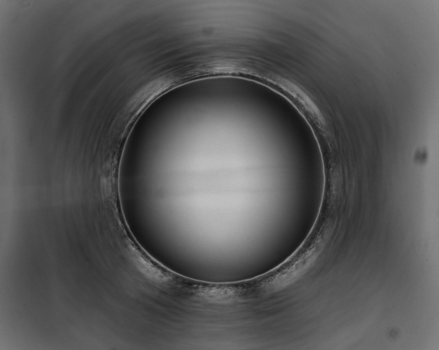 X0000100870801200806201239