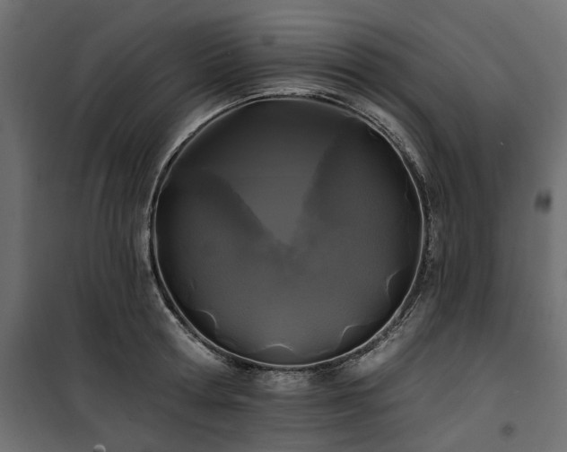 X0000100870802200806201239