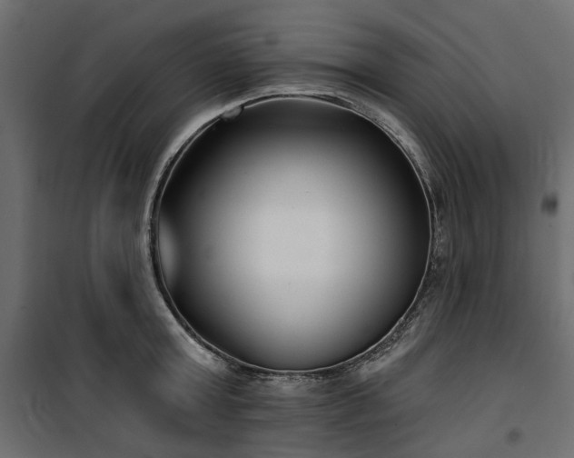 X0000100870803200806201239