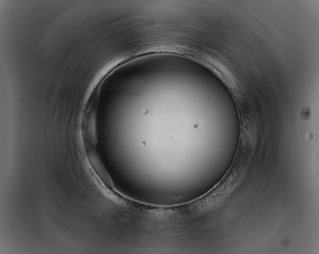 X0000100870804200806201239