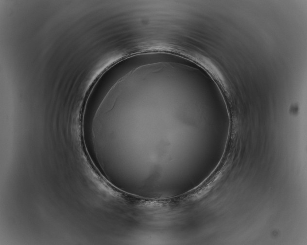 X0000100870806200806201239