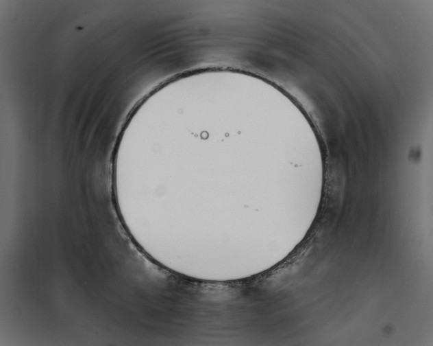 X0000100870807200806201239