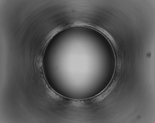 X0000100870809200806201239