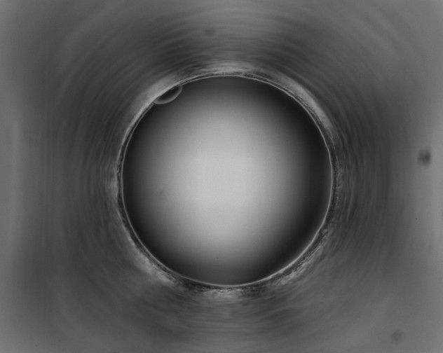 X0000100870810200806201239