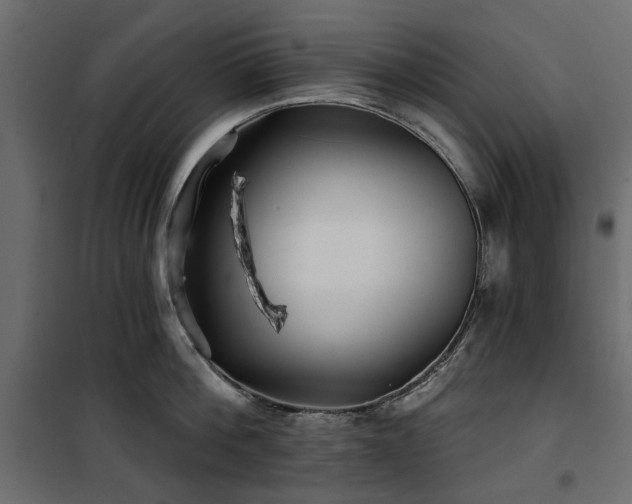 X0000100870812200806201239