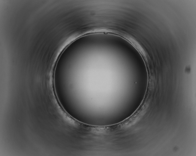 X0000100870813200806201239