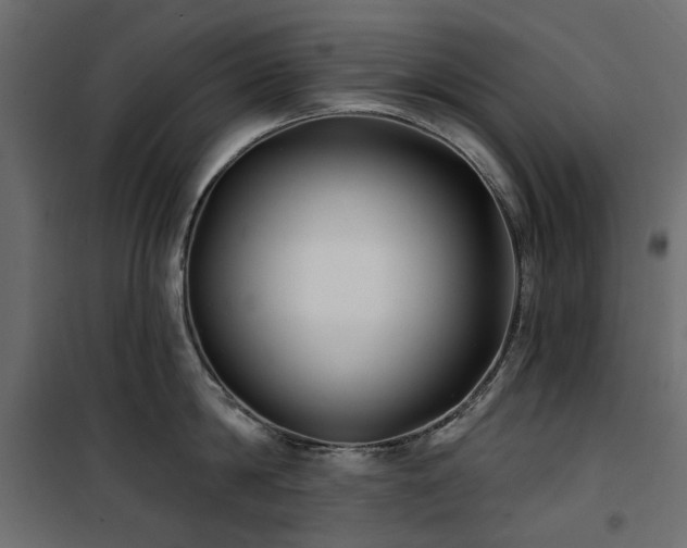 X0000100870814200806201239