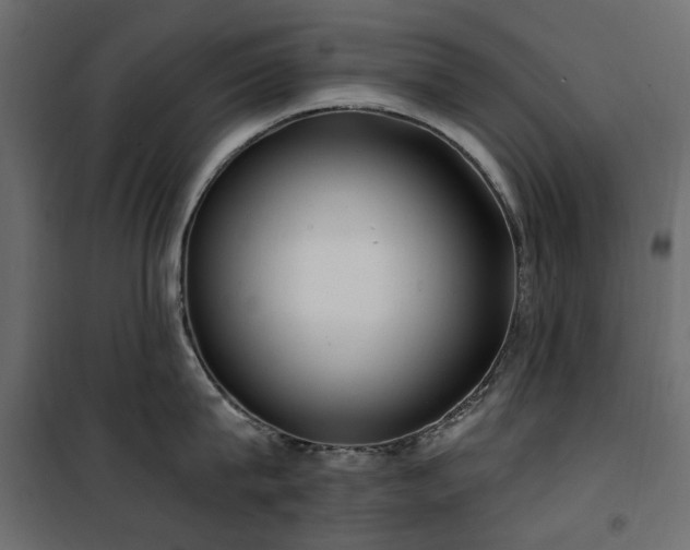 X0000100870815200806201239