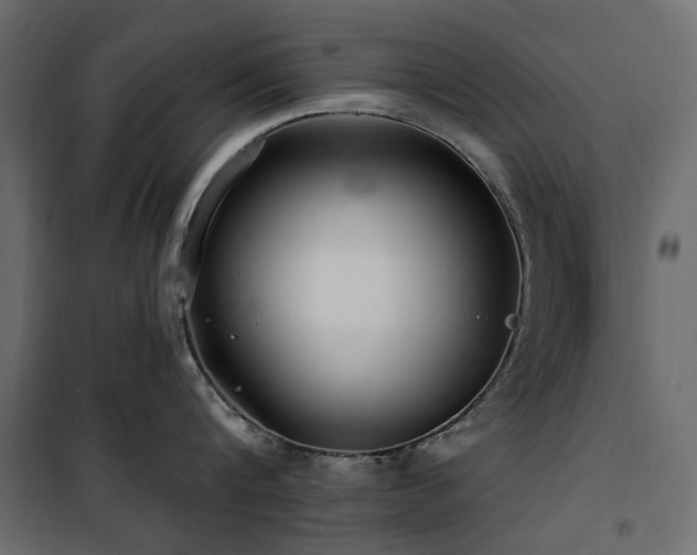 X0000100870816200806201239