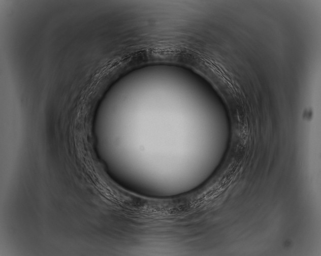 X0000100870817200806201238