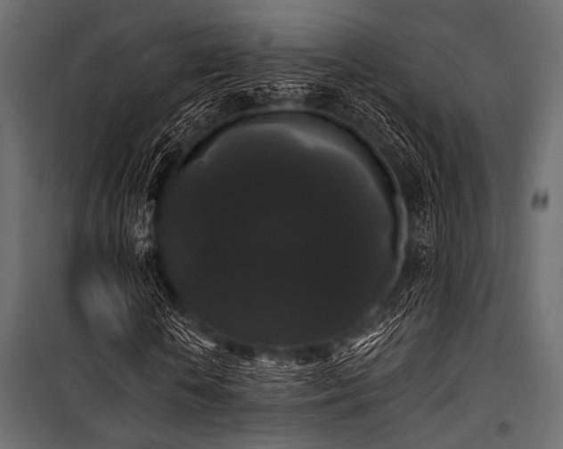 X0000100870818200806201238