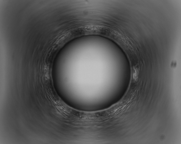 X0000100870819200806201238