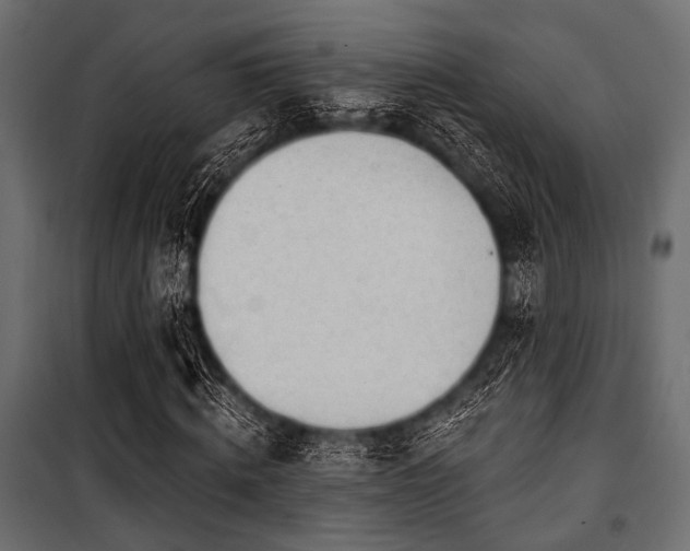 X0000100870820200806201238