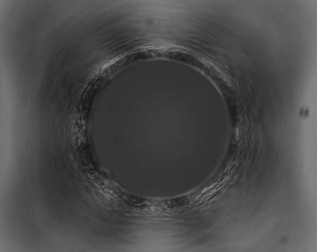 X0000100870822200806201238