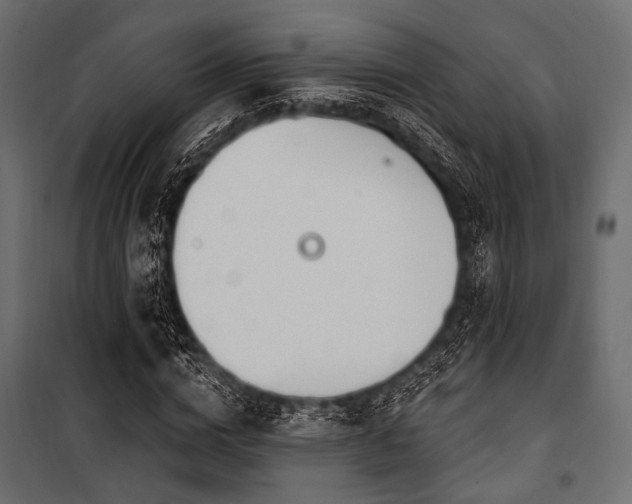 X0000100870824200806201238