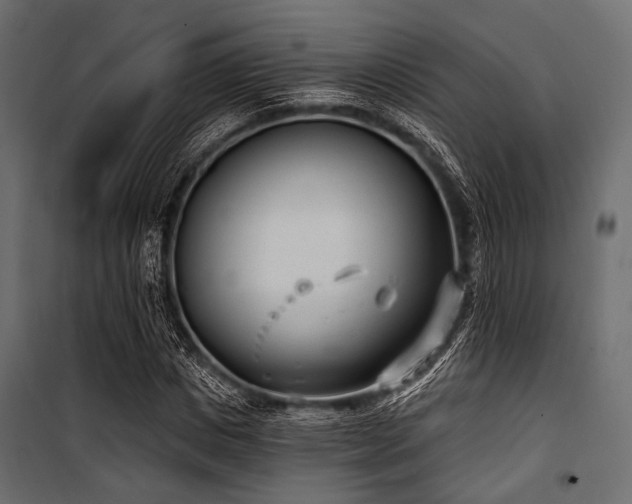 X0000100870825200806201238