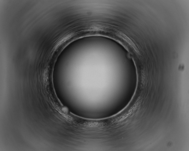 X0000100870826200806201238