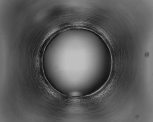 X0000100870827200806201238