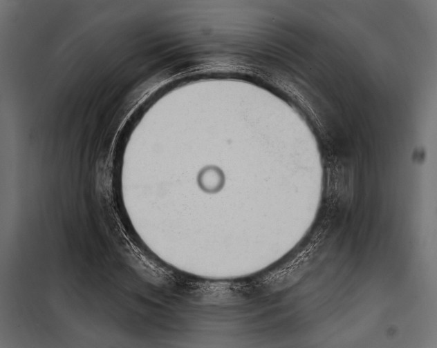 X0000100870828200806201238