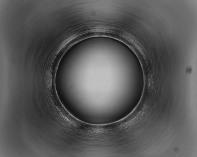 X0000100870829200806201238