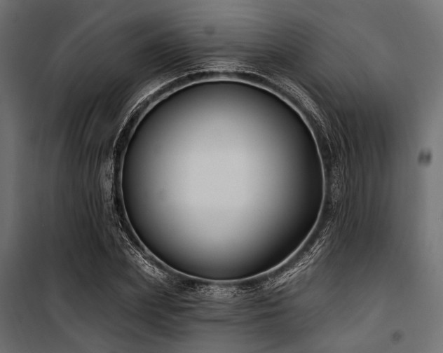 X0000100870831200806201238