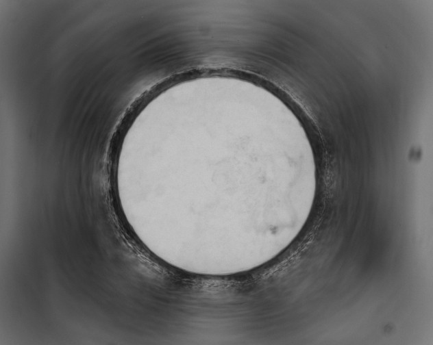 X0000100870832200806201238