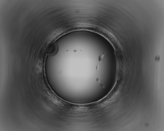 X0000100870833200806201238