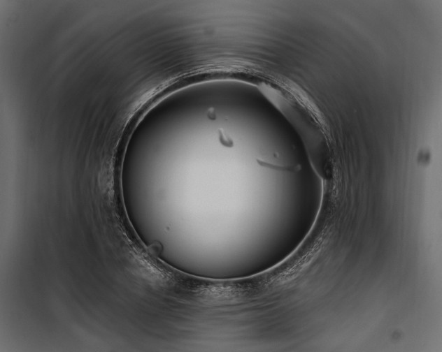 X0000100870834200806201238