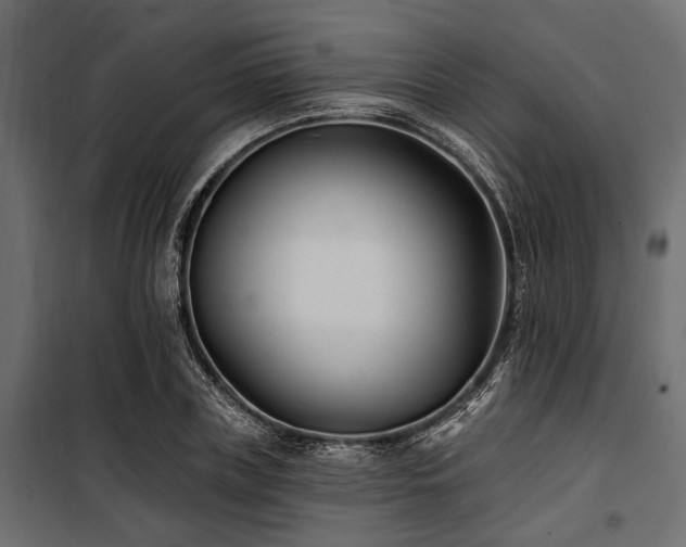 X0000100870835200806201238
