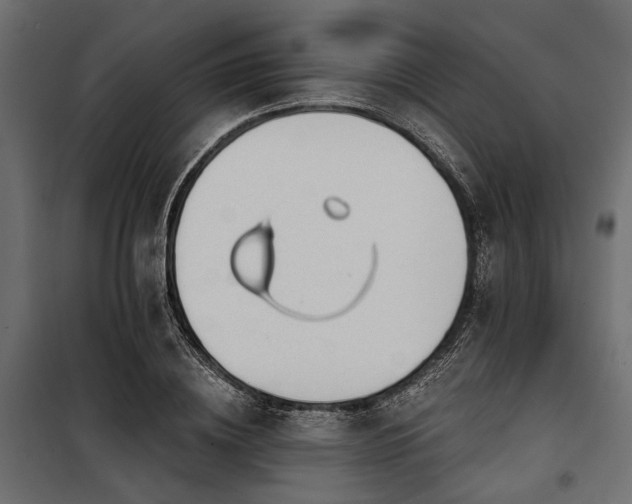 X0000100870836200806201238