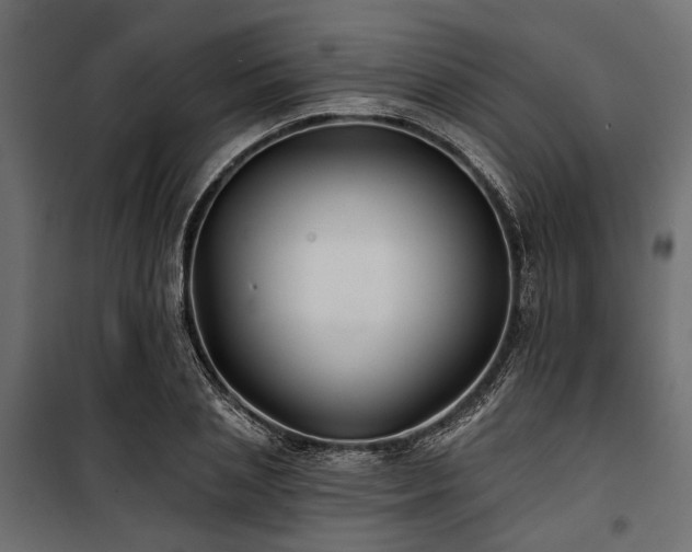 X0000100870837200806201238