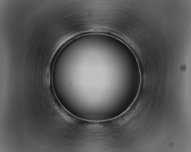 X0000100870838200806201238