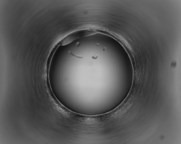 X0000100870839200806201238
