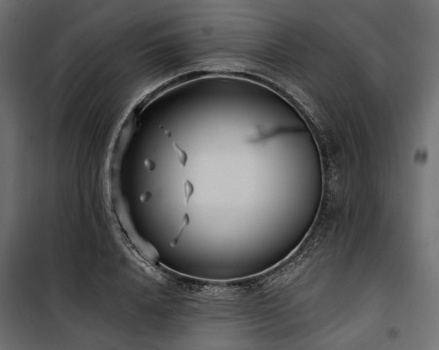 X0000100870840200806201238