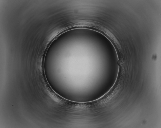 X0000100870842200806201238