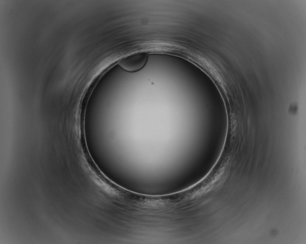 X0000100870843200806201238